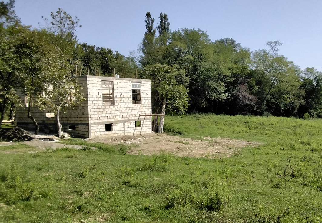 moniaggeorgioutiflida